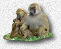 Tiere